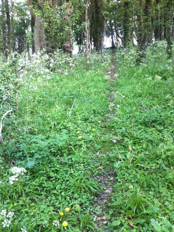 Pathways, Beachwood Cottage Bath Esterno foto