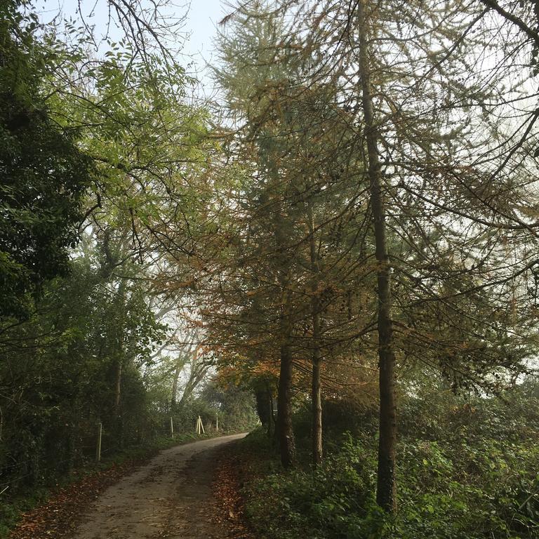 Pathways, Beachwood Cottage Bath Esterno foto
